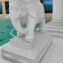 蚌埠 白麻花岗岩动物异形石雕-大象